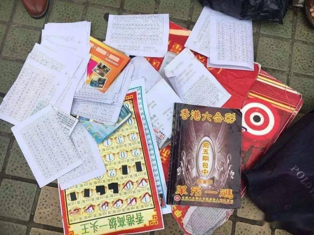 何鸿燊解密-2025年天天彩免费资料,实效性策略解读_vShop33.34.63，何鸿燊解密，2025年天天彩资料解读与实效性策略分享