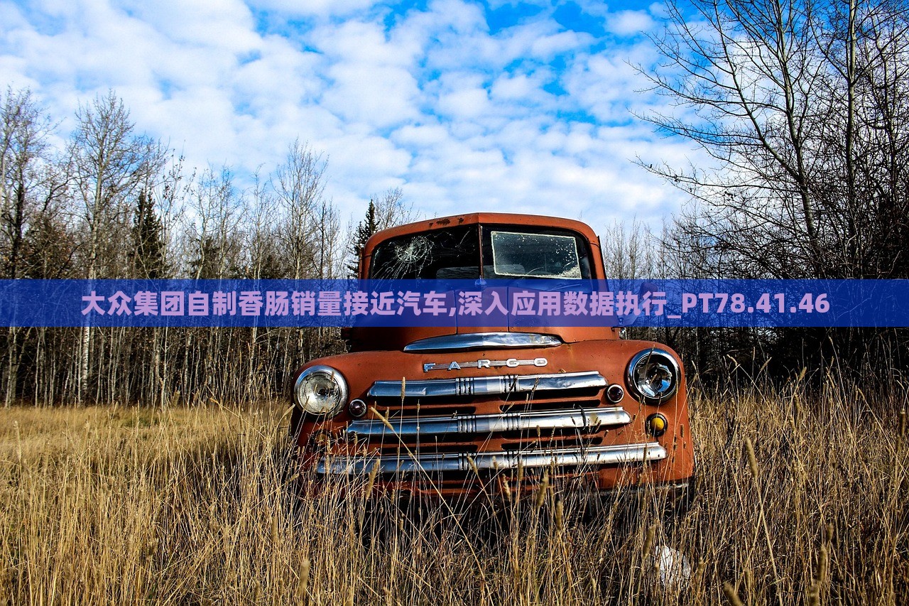 大众集团自制香肠销量接近汽车,深入应用数据执行_PT78.41.46，大众集团自制香肠销量接近汽车销量，数据执行深度应用揭秘_PT78.41.46报告发布