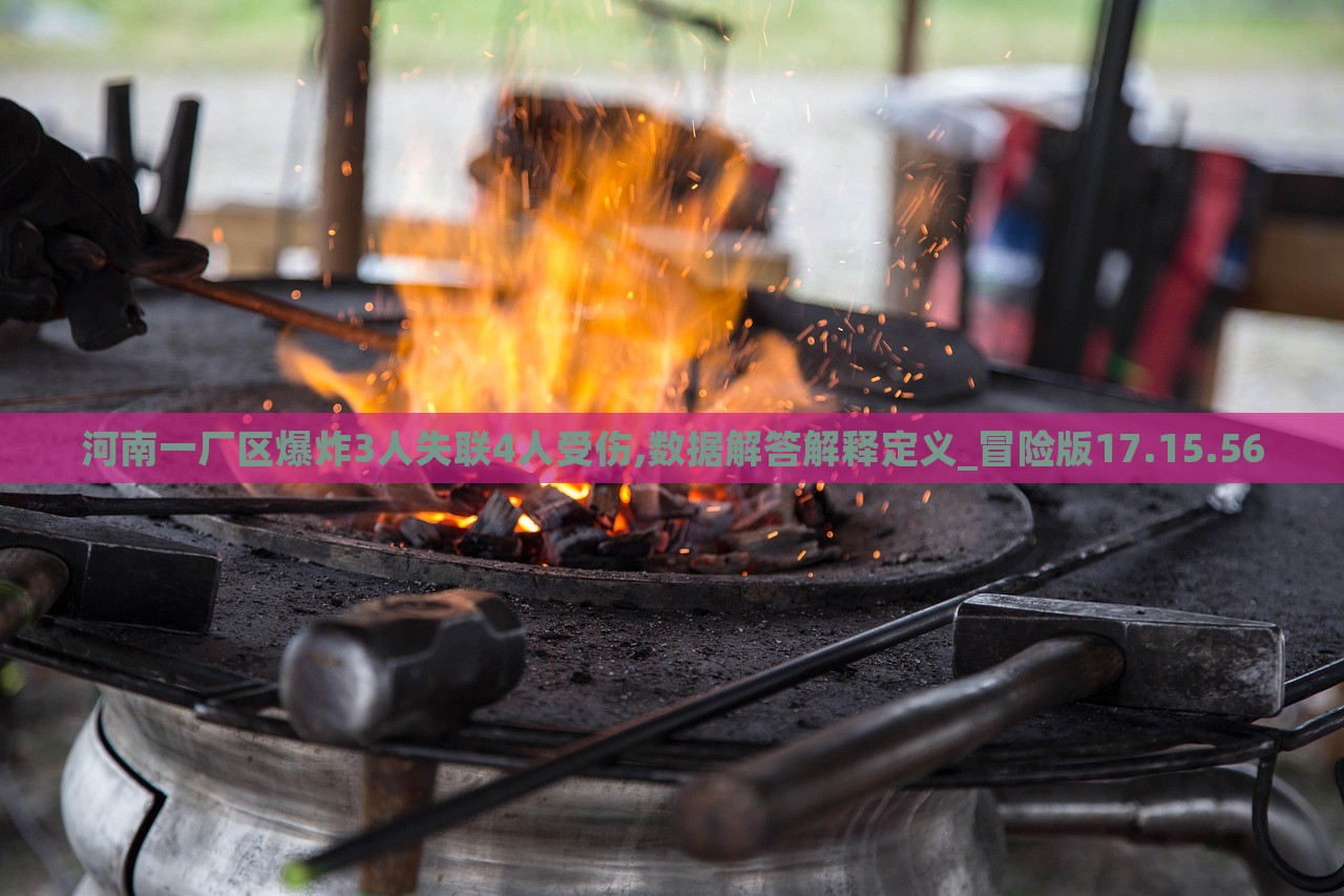 河南一厂区爆炸3人失联4人受伤,数据解答解释定义_冒险版17.15.56，河南厂区爆炸事故，揭秘事故背后的数据定义与冒险真相